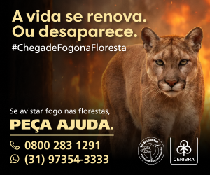 Publicidade
