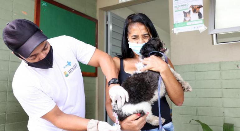 Vacinação contra raiva cães e gatos BH