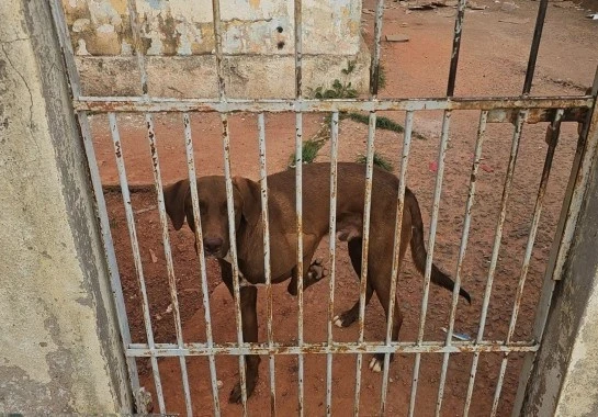 Imagem