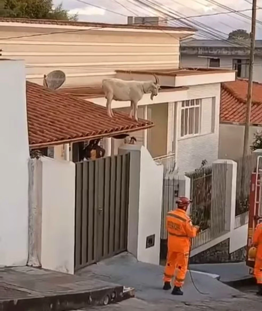 Imagem