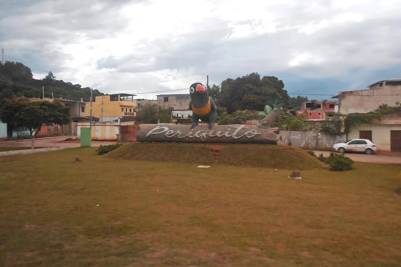 Imagem