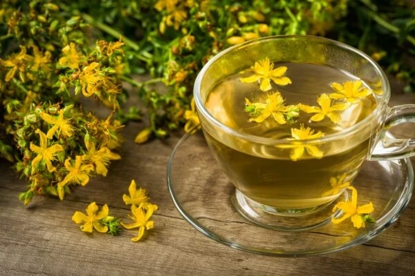 A erva-de-são-joão, além de proporcionar um efeito tranquilizante, pode afetar a digestão e melhorar a qualidade do sono quando tomada na forma de infusão.