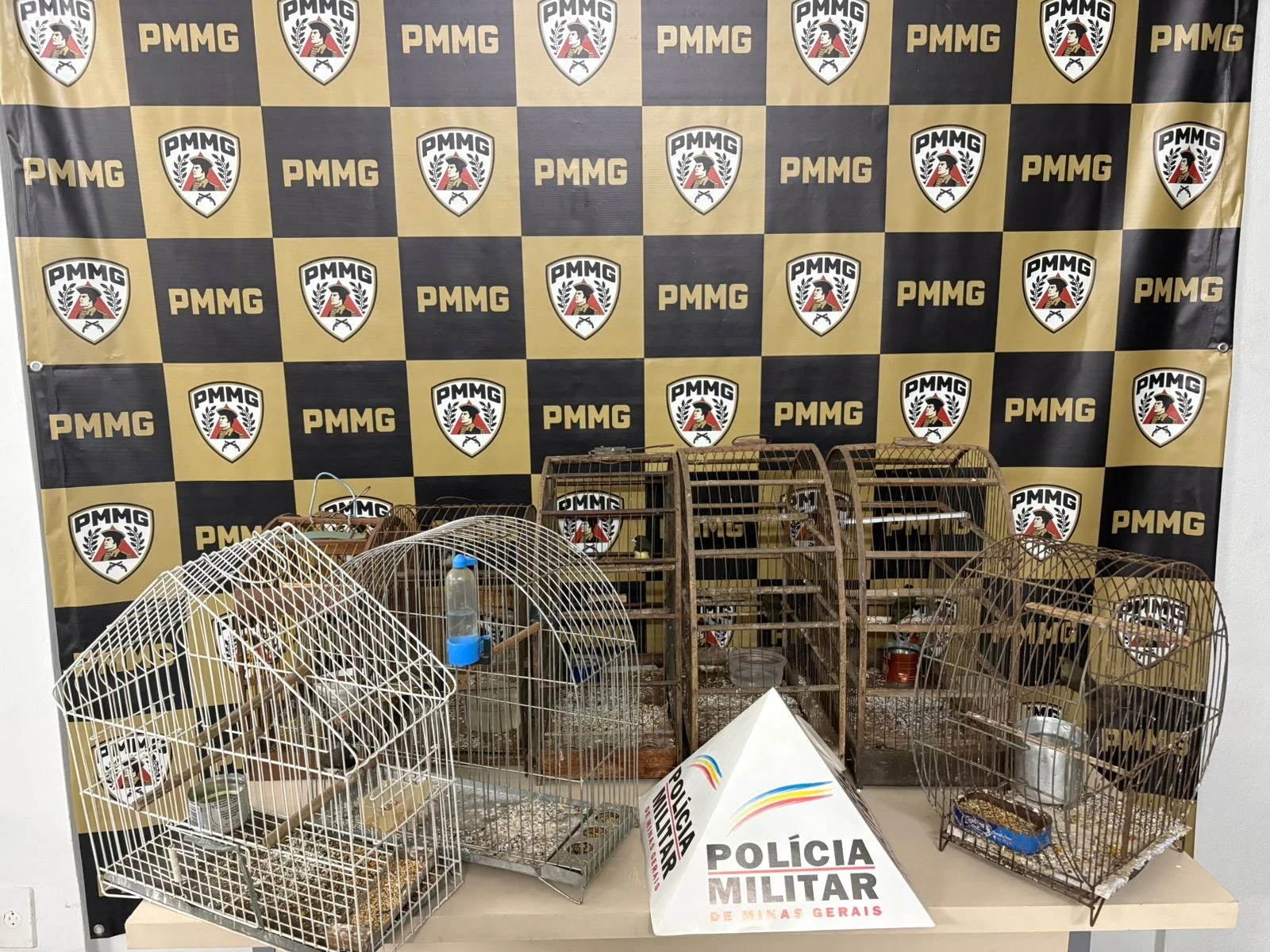 O suspeito foi detido em flagrante por receptação, e os itens confiscados foram levados à Delegacia de Polícia Civil, juntamente com os animais, que serão entregues aos órgãos ambientais responsáveis.