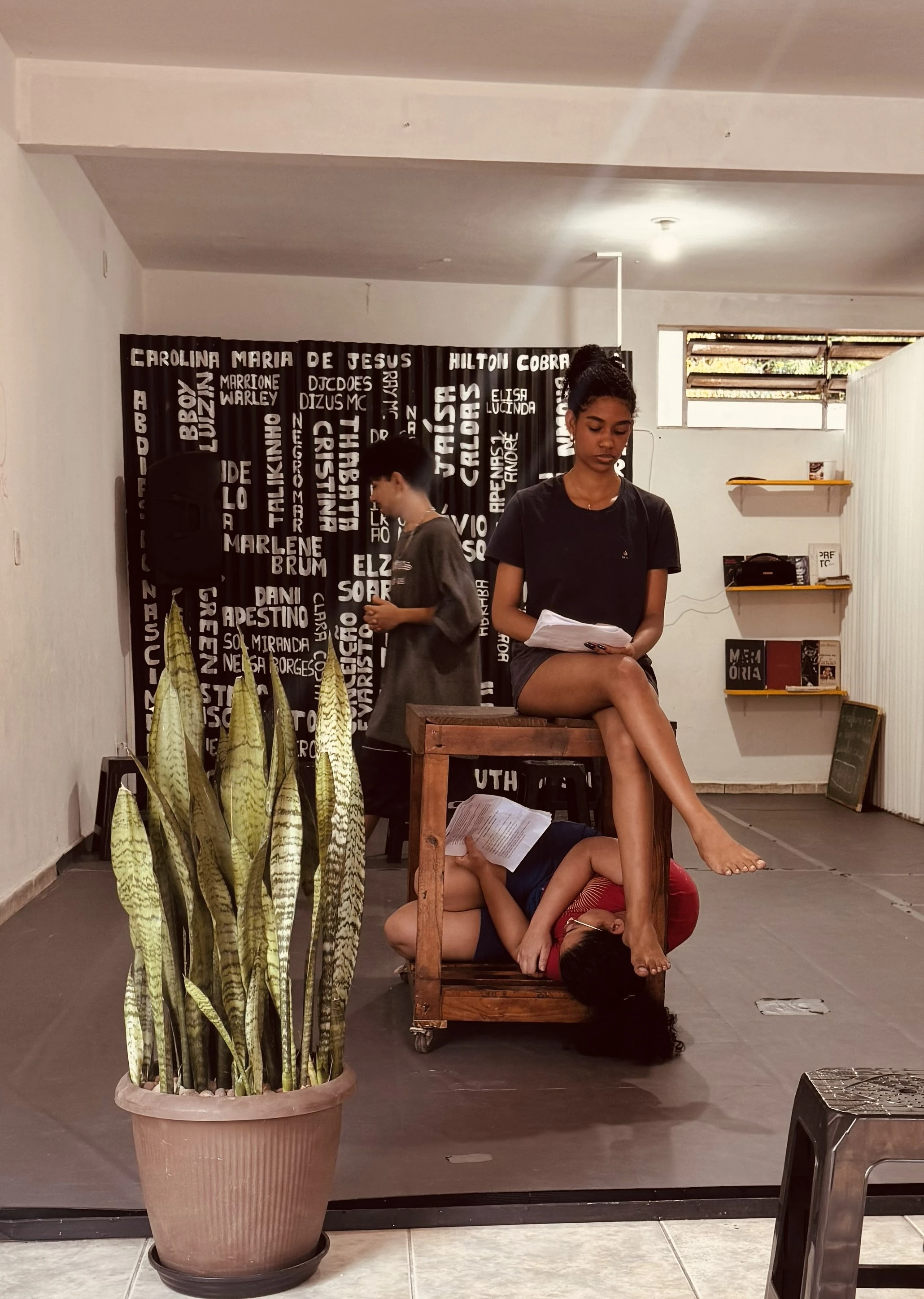 As exibições sem custo ocorrerão na Sede do ECOAR, localizada na Avenida José Anatólio Barbosa, 1052C, em Limoeiro.