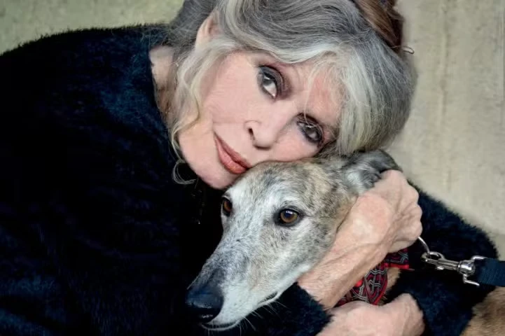 A atriz de origem francesa Brigitte Bardot