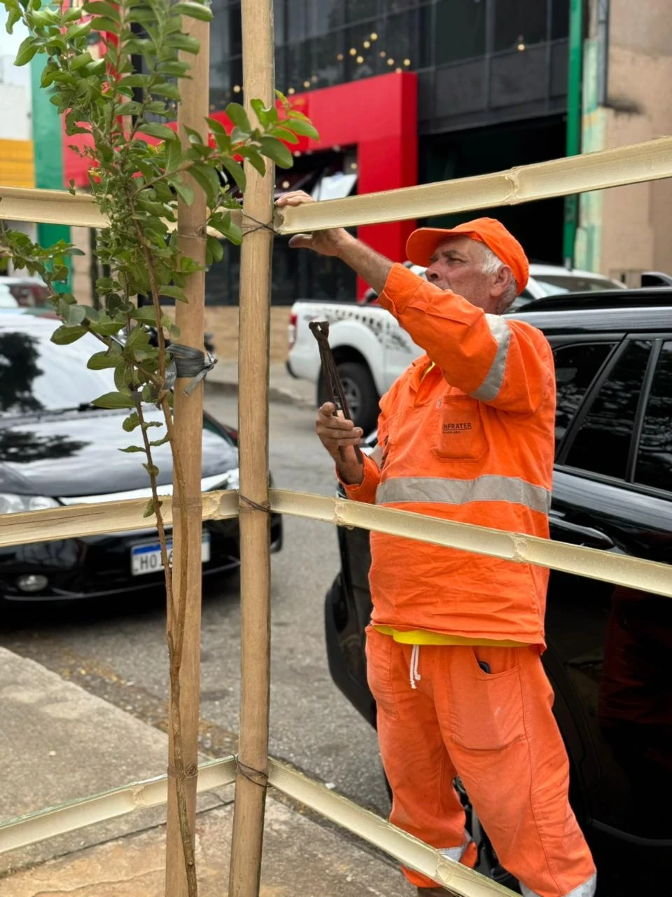 representa mais do que apenas uma atividade de jardinagem,