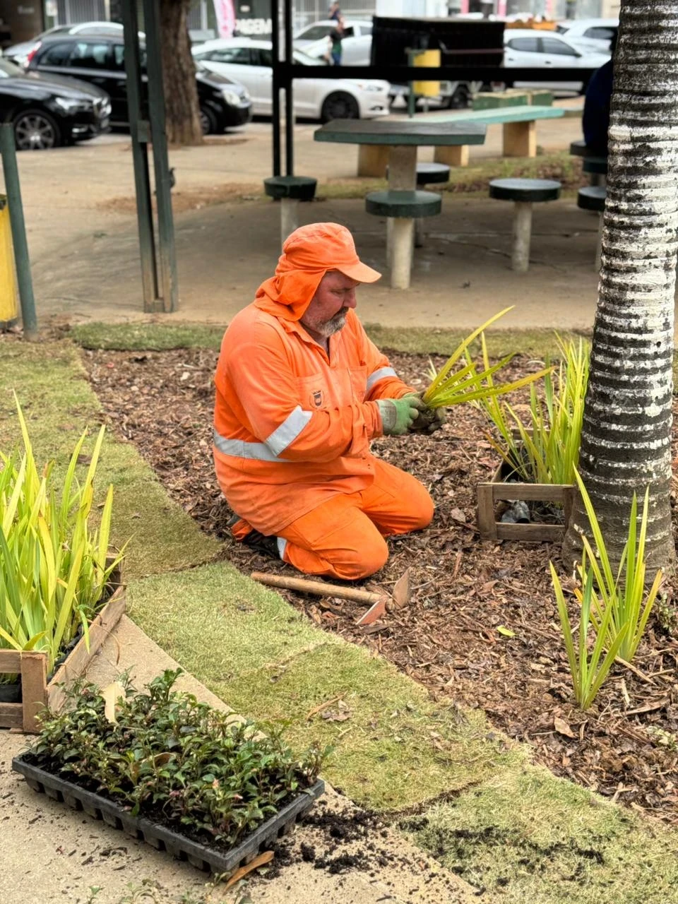 As atividades incluem a restauração integral da paisagem da praça,