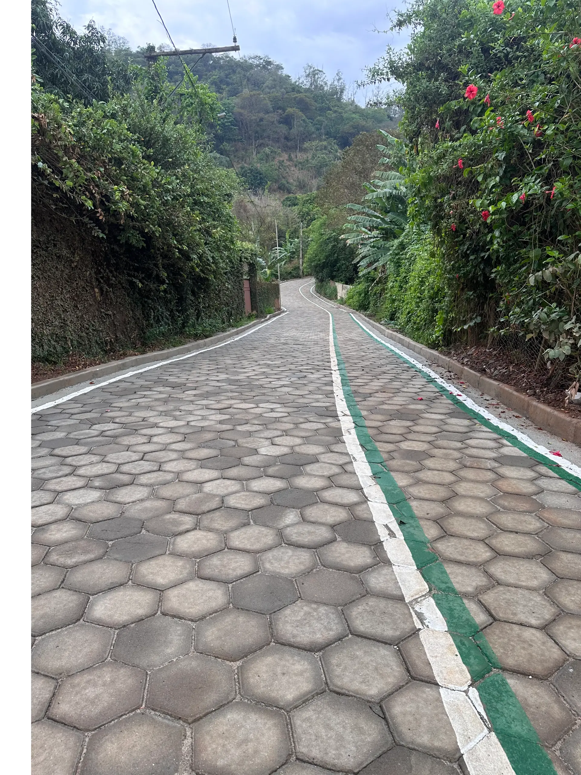 Avenida Coriolano Mattos Pereira Poggiali