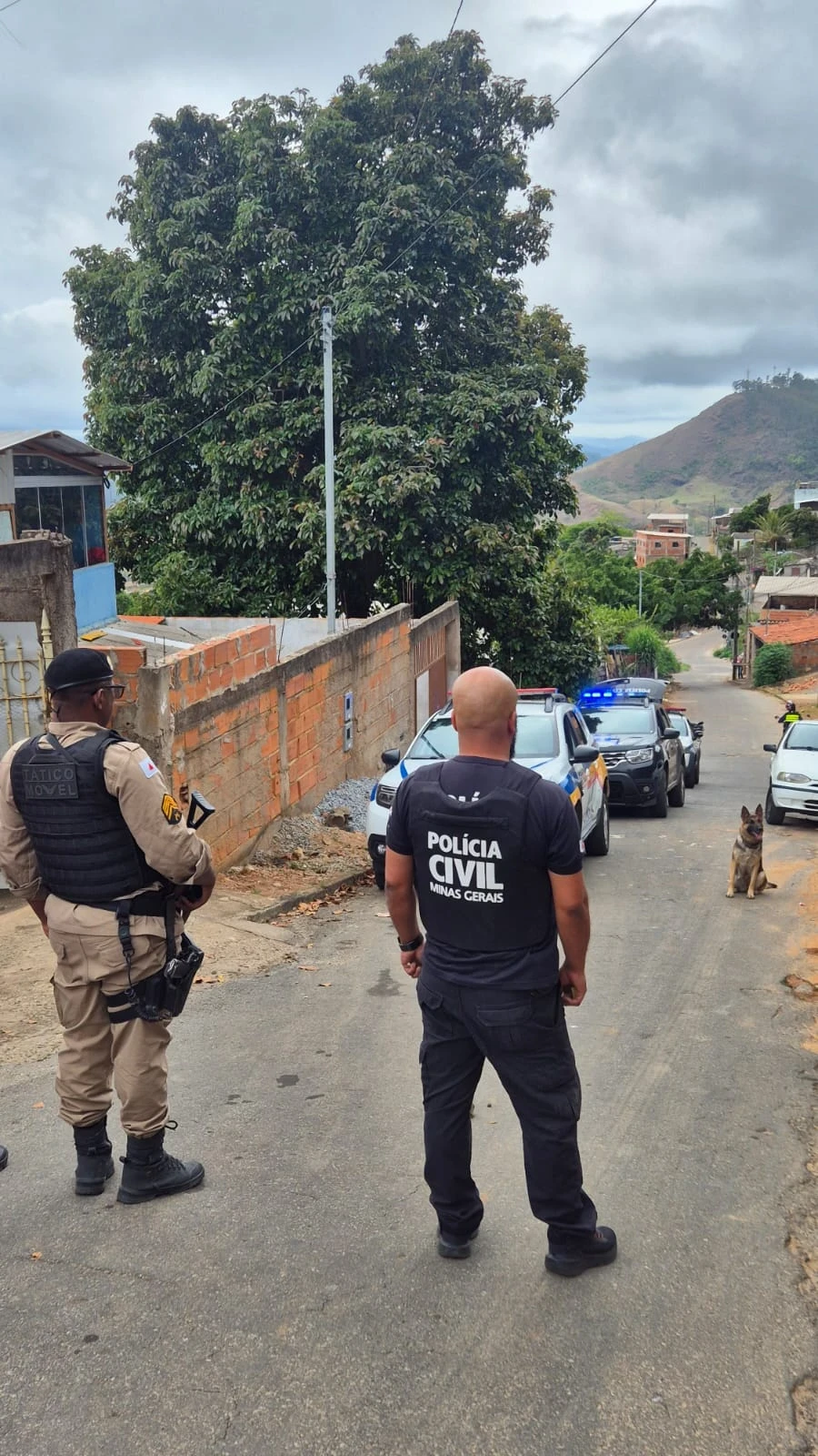 As medidas de prevenção e combate aos homicídios, assim como as investigações realizadas por meio de inquérito policial, continuam de forma constante, visando impedir novas ocorrências.