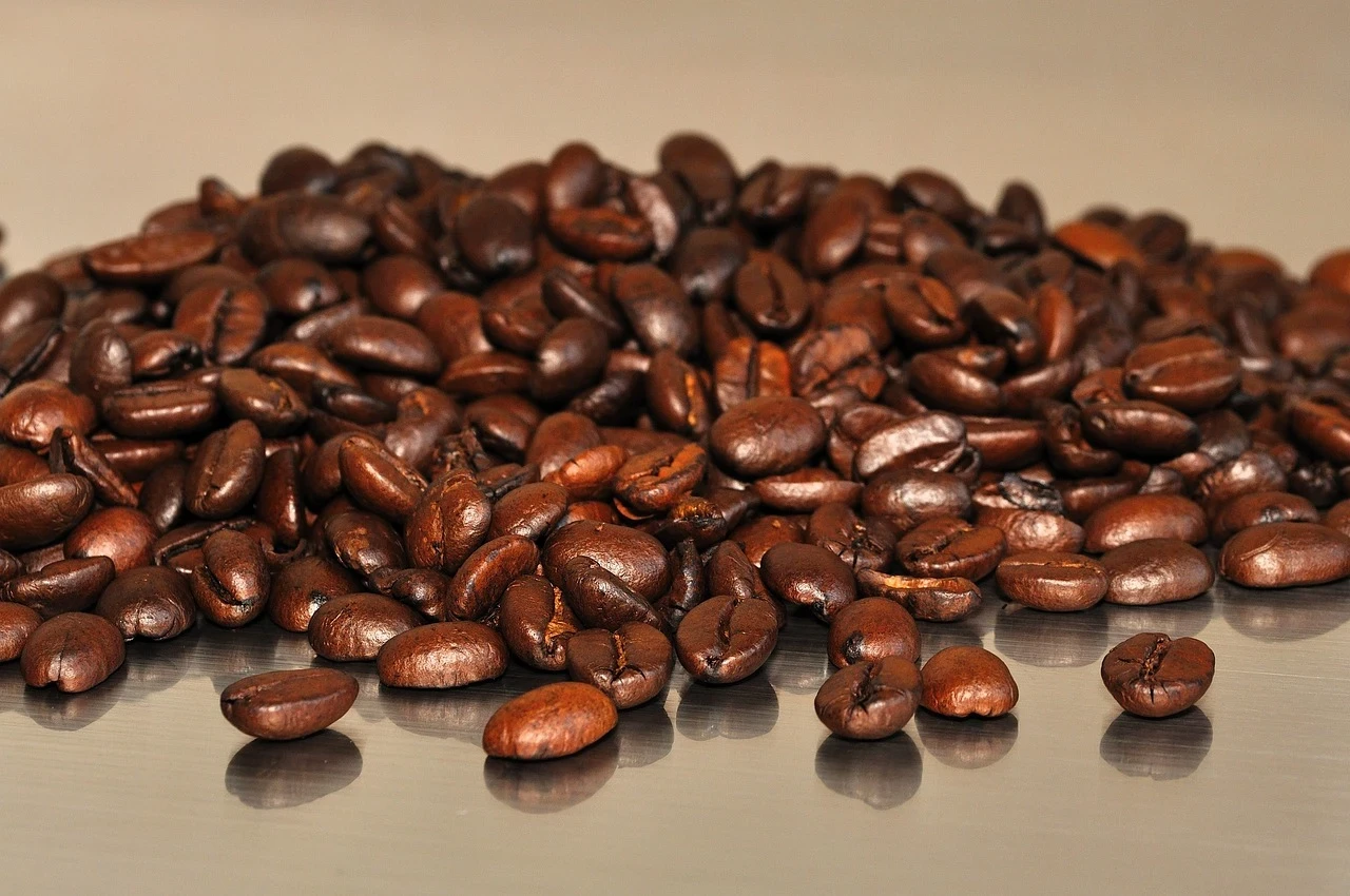 Em setembro, a exportação de café não torrado para os EUA registrou uma diminuição de 22,6%.