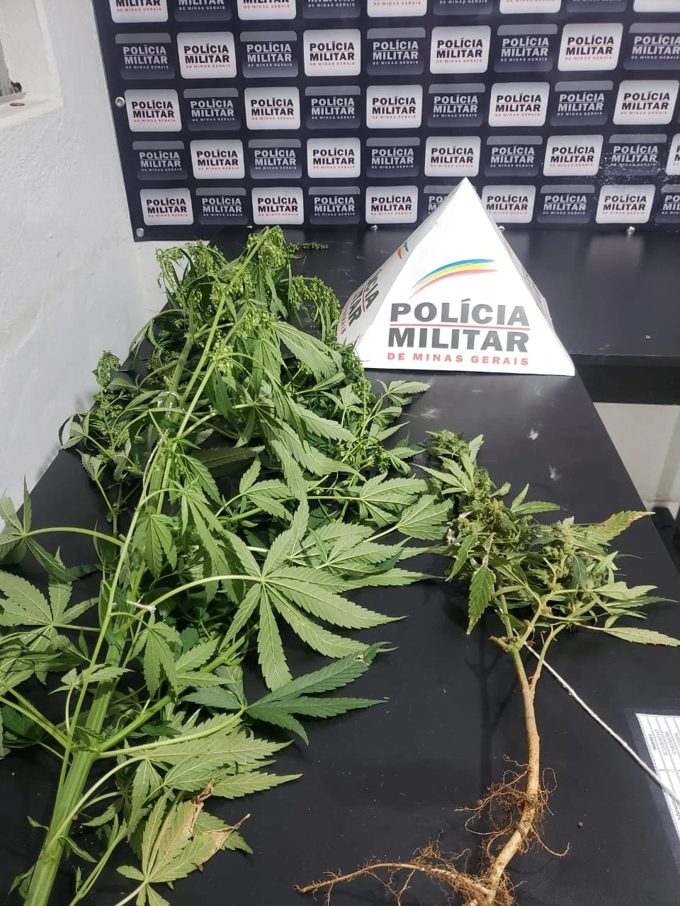 Os itens foram confiscados e serão enviados à polícia.