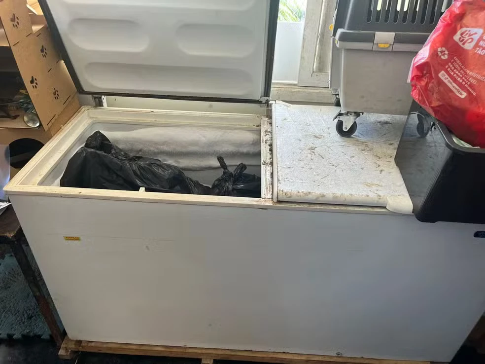 Cadáveres de animais foram descobertos dentro de um freezer.