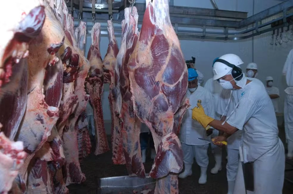 Trabalhadores em frigorífico preparam carne bovina para exportação; Brasil registra recorde de exportações apesar de tarifas dos EUA.