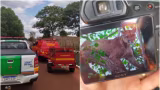 Onça-parda invade quintal e mobiliza resgate em Chaveslândia