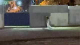 Vídeo de noiva em cemitério intriga internautas