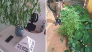 Adolescente de 14 anos agride mãe e é apreendido com drogas em Jaguaraçu