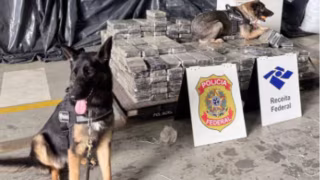 Receita Federal apreende 482 kg de cocaína em carga de polipropileno no Porto de Santos
