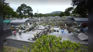 Lei permite sepultamento de pets com tutores em Florianópolis