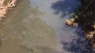 Mulher desaparece após ser arrastada por enxurrada no interior de São Paulo