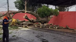 Temporal causa estragos em cidades do interior de SP