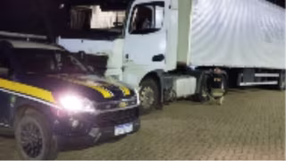 PRF apreende semirreboque com placa falsa na BR-251 em MG