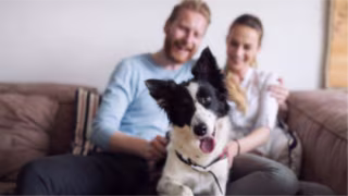 Estudo revela que tutores priorizam pets em decisões amorosas e de moradia