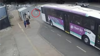 Cachorro é atropelado duas vezes pelo mesmo ônibus e morre em Ribeirão Preto