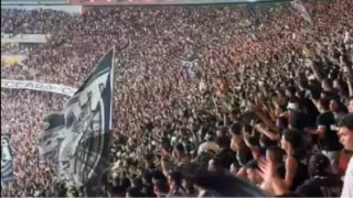 VÍDEO: Torcida do Palmeiras provoca Santos com cânticos durante vitória no clássico
