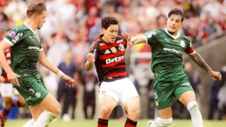 Palmeiras e Flamengo empatam na liderança e acirram disputa pelo Brasileirão