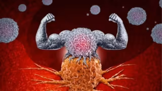 Estudo revela como tumores driblam células de defesa e desafiam imunoterapia