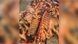 Fiscalização apreende 4,6 toneladas de alimentos vencidos, incluindo carne podre