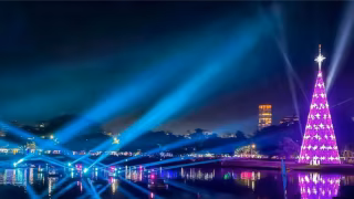 Árvore de Natal do Parque Ibirapuera será inaugurada em 29 de novembro