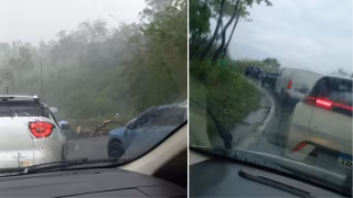 Árvore cai e interdita trânsito no Morro da Usipa após forte chuva