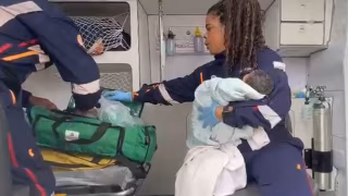 Recém-nascida é encontrada em formigueiro numa área rural no Espírito Santo