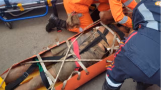 Homem cai em grota e sobrevive três dias comendo mangas antes de ser resgatado em MG