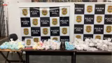 Operação da Polícia Civil e PM apreende 17 kg de drogas em mata na parte alta de Taubaté