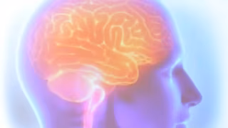 Adolescência do cérebro pode ir até os 30 anos, aponta novo estudo