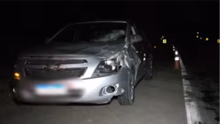 Motorista fica ferido após carro atropelar vaca na BR-116; animal morreu no local