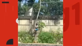 Jovem morre após invadir recinto de leoa em parque de João Pessoa