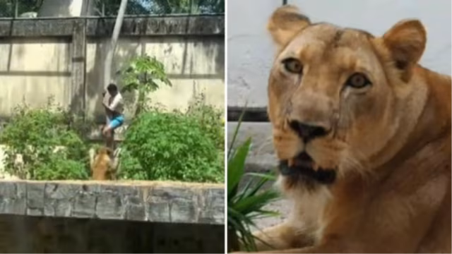 Jovem morto por leoa em João Pessoa tinha mais de dez passagens pela polícia