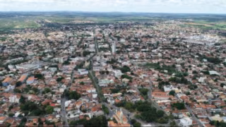 Idoso morre atacado por abelhas após entrar em clube para pegar mangas em MG