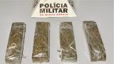 PM apreende barras de maconha escondidas em mata em Ipatinga