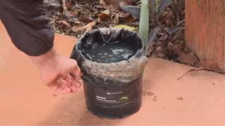 Projeto da UnB usa o próprio Aedes aegypti como vetor de larvicida e reduz mosquitos em até 75%