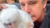 Márcio Garcia anuncia morte do cachorro Dogo e desabafa sobre dor e fé