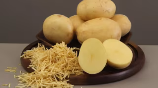 Embrapa lança batata ‘Braschips’ para impulsionar indústria de chips e batata-palha