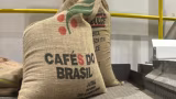 Exportações de café caem 21%, mas receita do Brasil sobe 25% em 2025