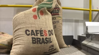 Exportações de café caem 21%, mas receita do Brasil sobe 25% em 2025