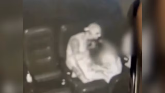 Polícia prende homem que mordeu jovem grávida em cinema de MG