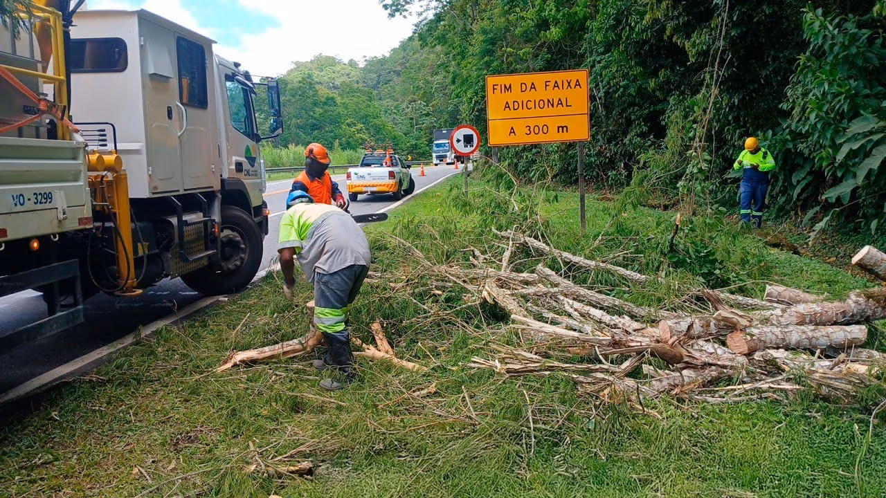 Fwd: Pauta I CNL retira mais de 100 árvores das rodovias em um único dia após fortes ventos​