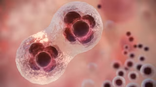 Estudo identifica enzima que dispara caos genético ligado à resistência do câncer